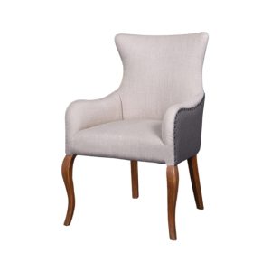 Skin Brown Armchair