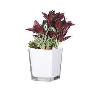 Glass White Pot No.40
