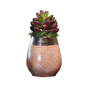 NO.4 - 012021 Gold Planter