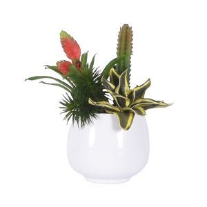 No.9 - 022022 Glosyy White Bromelia Gardenmix