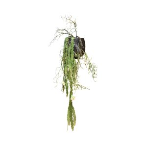 No.99 - 022022 Black Planter Curley Willow