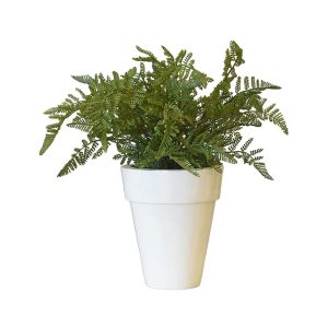 White Glossy Planter & Fern Plants No.9