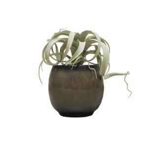 Home Decor Flower Arrangement No-46 Grey Glossy Pot Tillandsia 24 Front View