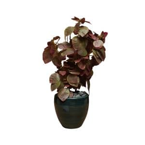 Home Decor Flower Arrangement No-99 Green Pot Lisette Plants 24 Front View