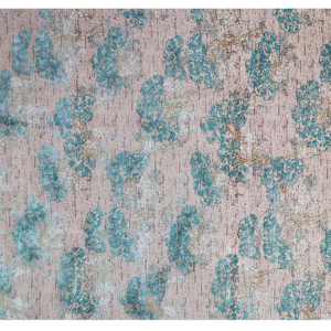 BSM 24 Gray Carpet Enz (200X300)