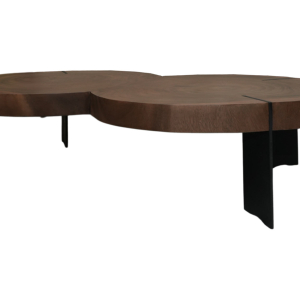 Home Decor Albertina Twin Cocktail Table Suar Iron 409B Side View