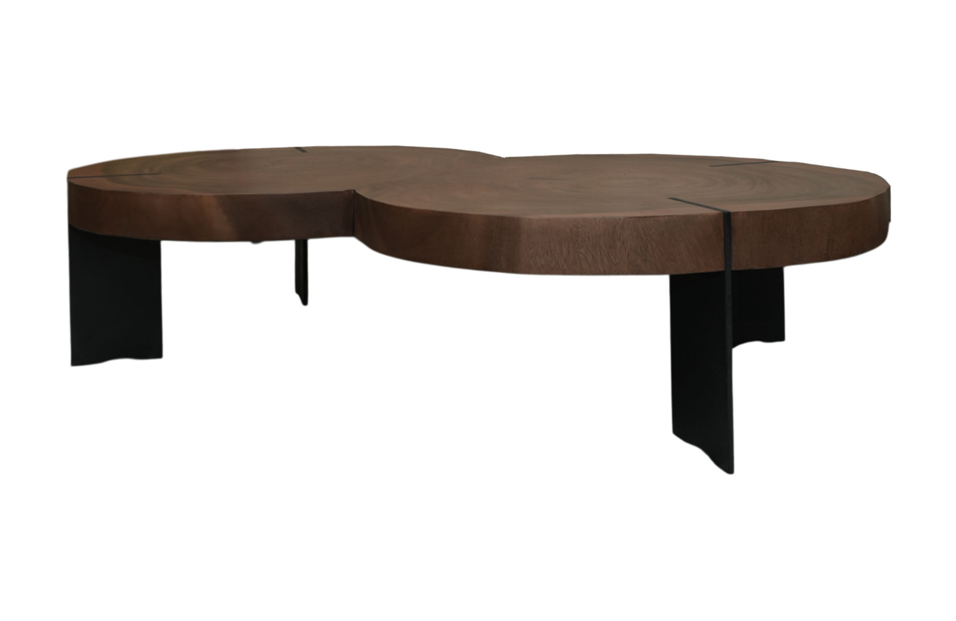 Home Decor Albertina Twin Cocktail Table Suar Iron 409B Side View