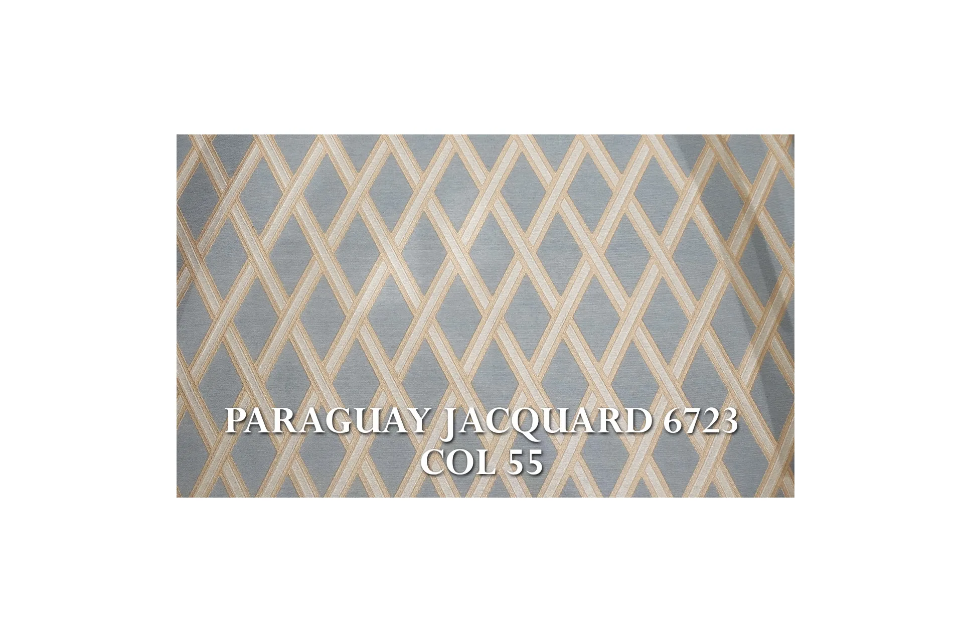 Home Decor Baroque Silang Chair PJ 6723 - 55 Fabric View PARAGUAY JACQUARD 6723 COL 55