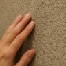 Wallpaper texture premium