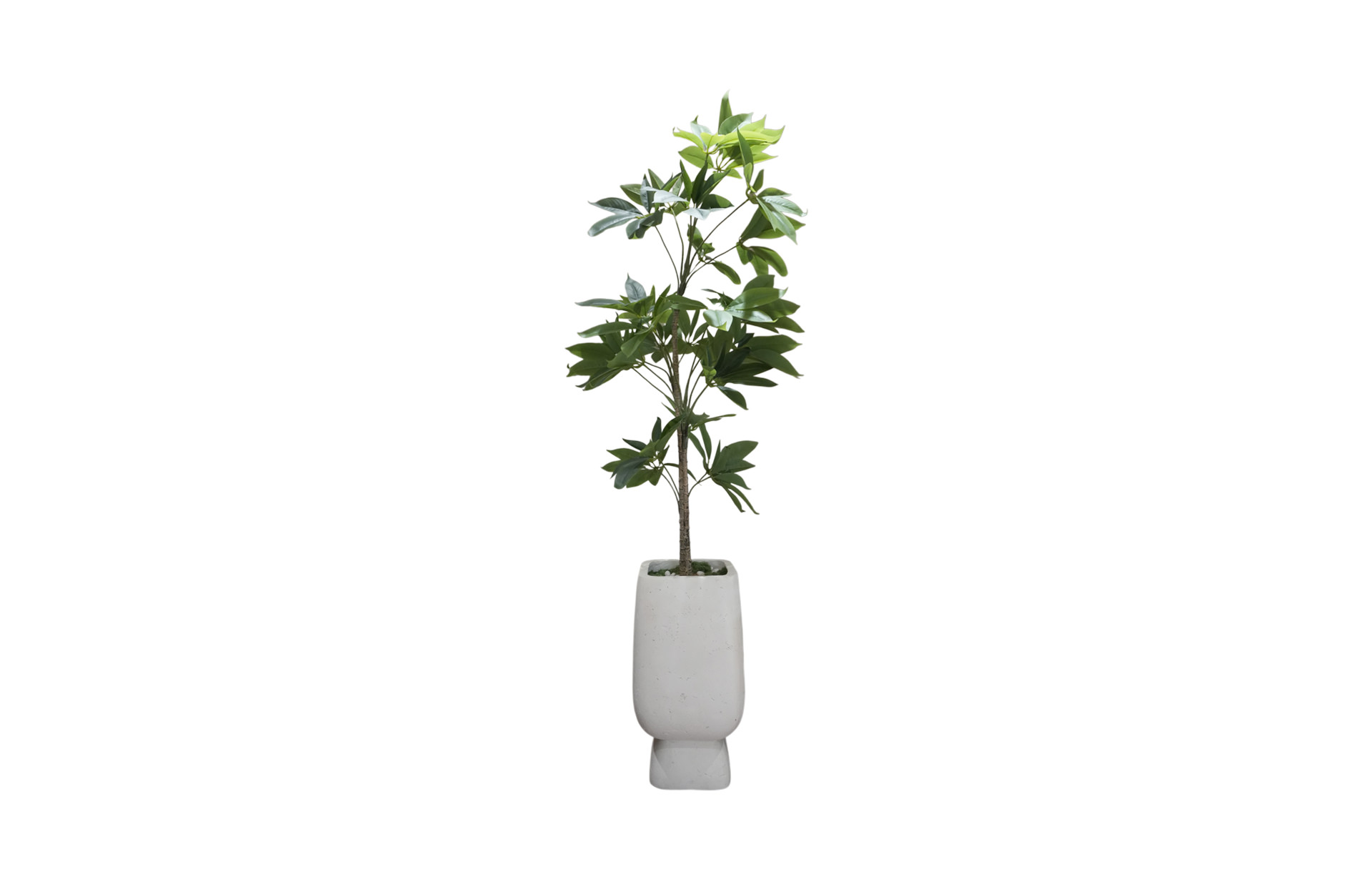 Home Decor GCR314L Vase Large & Manggis 150 Front View