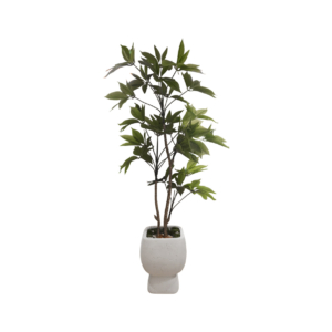 Home Decor GCR314S Vase Small & Manggis 150 Front View