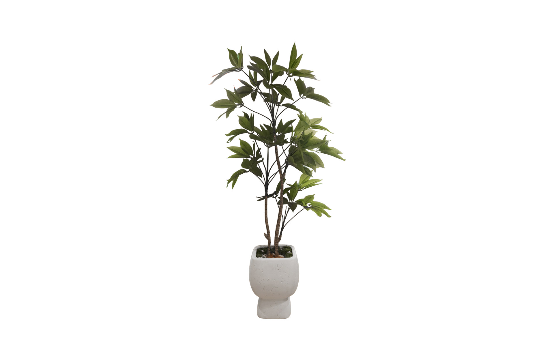 Home Decor GCR314S Vase Small & Manggis 150 Front View