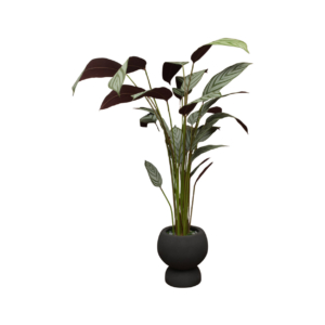 Home Decor GCR315S Vase Small & Callathea Ungu 150 B Front View