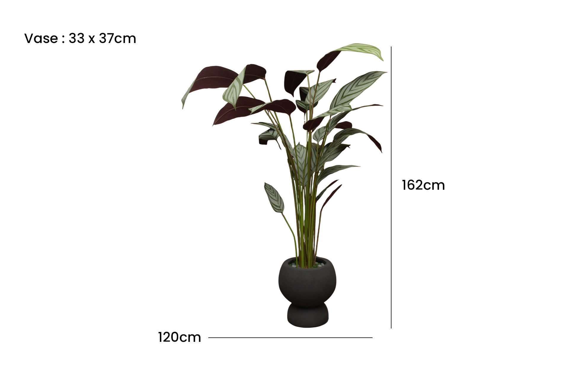 Home Decor GCR315S Vase Small & Callathea Ungu 150 B Front View Size