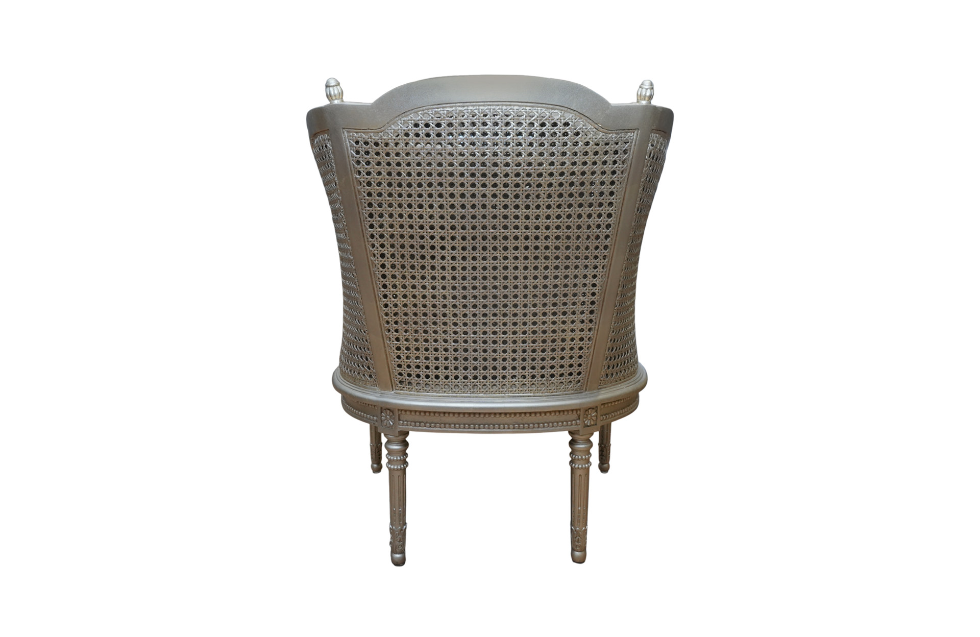 Home Decor Parling Armchair CV 8290A-142 Back View