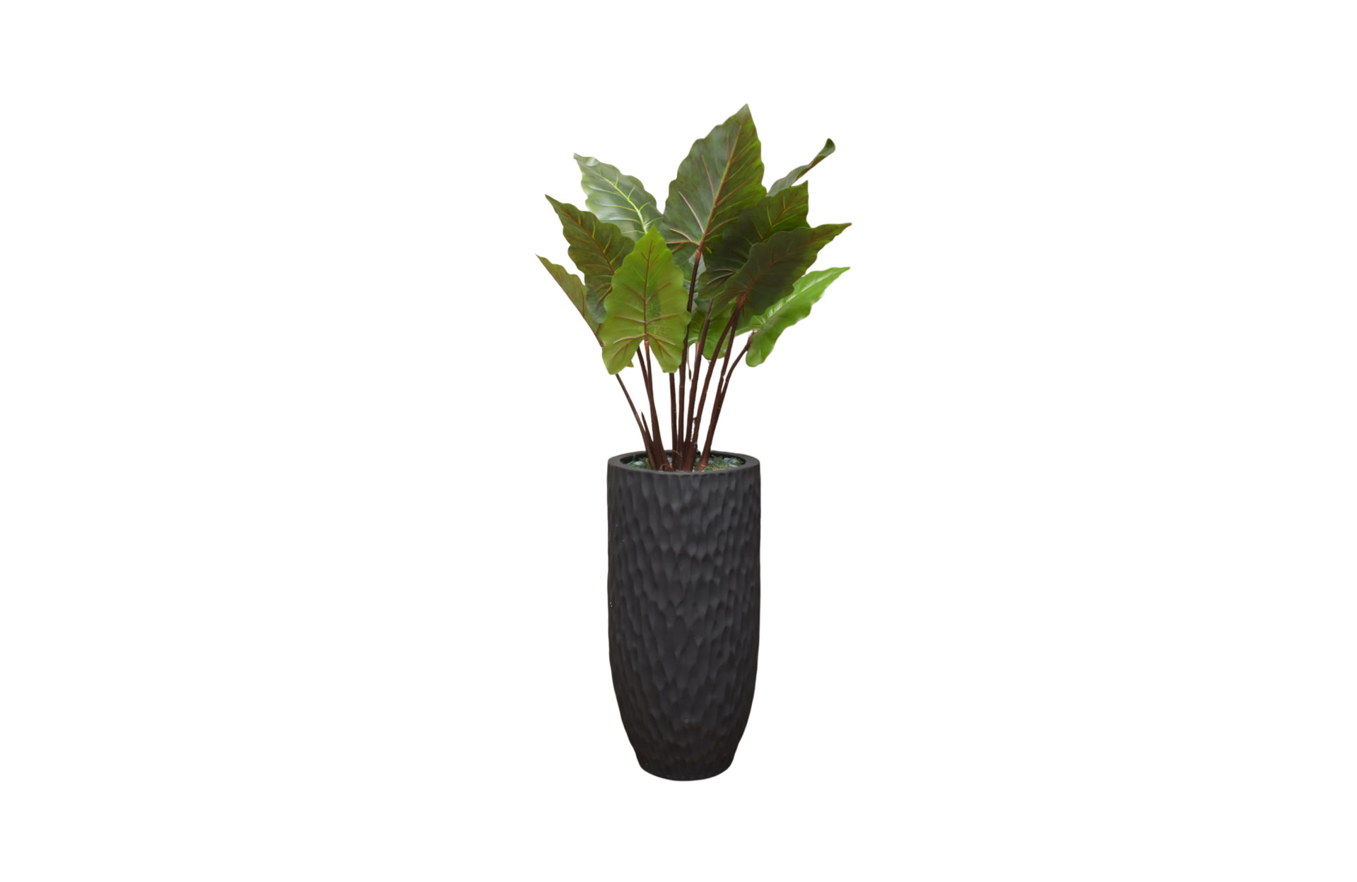 Home Decor Planter Vase Large Abstrak Black Doff & Keladi Giant T120 Front View