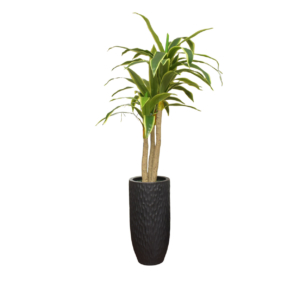 Home Decor Planter Vase Large Abstrak Black Doff & Pandan Bali 180 B Front View