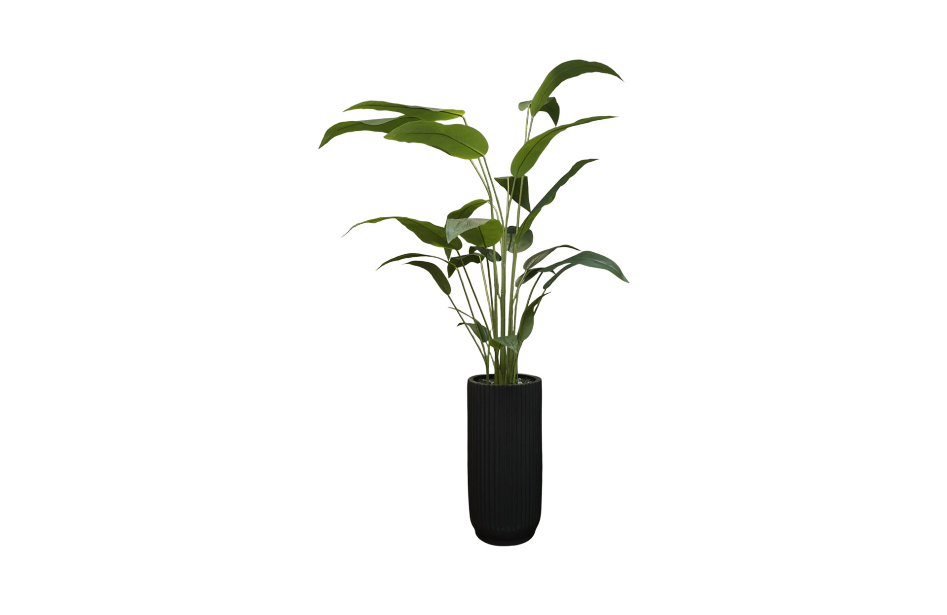 Home Decor Planter Vase Large Stripe Black Doff & Heliconia 210 B Front View