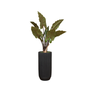 Home Decor Vase Large Black Gloss T80cm Stripe & Taro 120 Front View