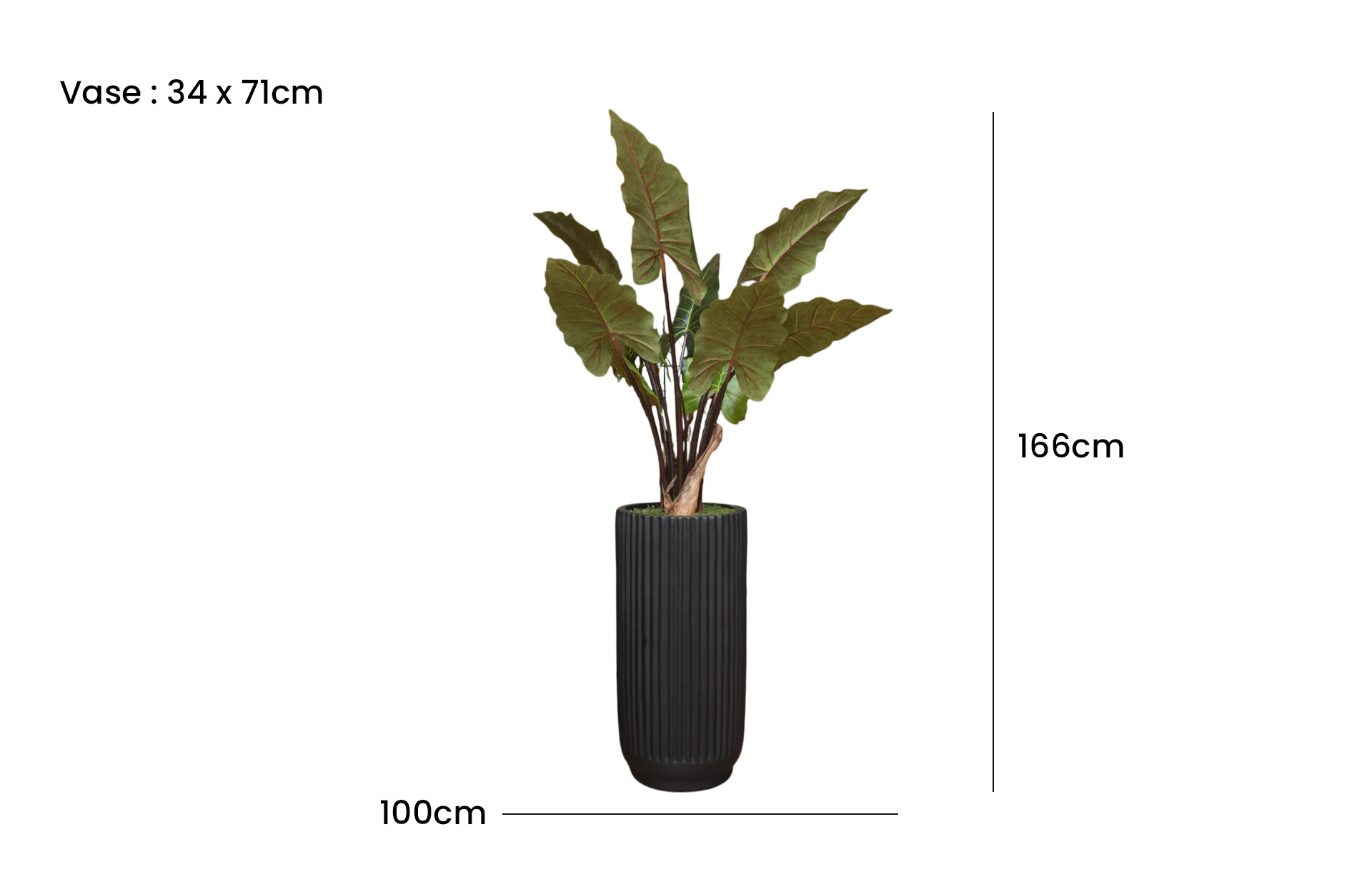 Home Decor Vase Large Black Gloss T80cm Stripe & Taro 120 Front View Size