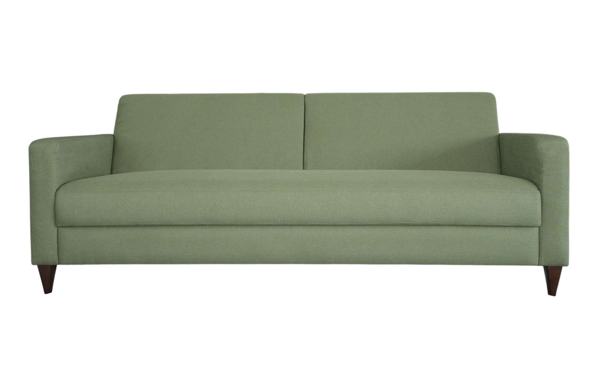 Home Decor Saiga Sofa A 51 Fern Front View