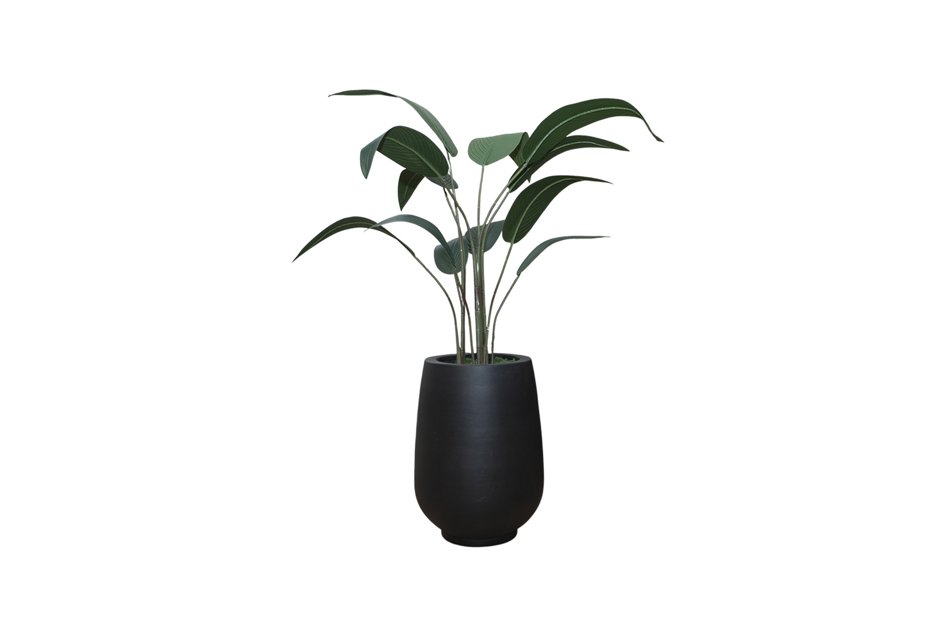 Home Decor SA11850-DS-AB Birds Of Paradise Tree in Pot,12 Leaves A Front View