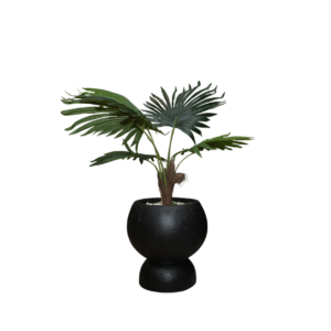 Home Decor SA11853-AB Fan Palm Tree In Pot,5 Leaves ( Doff 4 ) Front View
