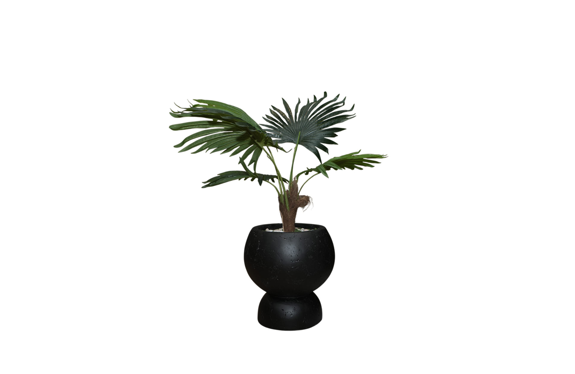 Home Decor SA11853-AB Fan Palm Tree In Pot,5 Leaves ( Doff 4 ) Front View