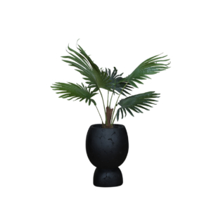 Home Decor SA11853-AB Fan Palm Tree In Pot,5 Leaves ( Doff 6 ) Front View