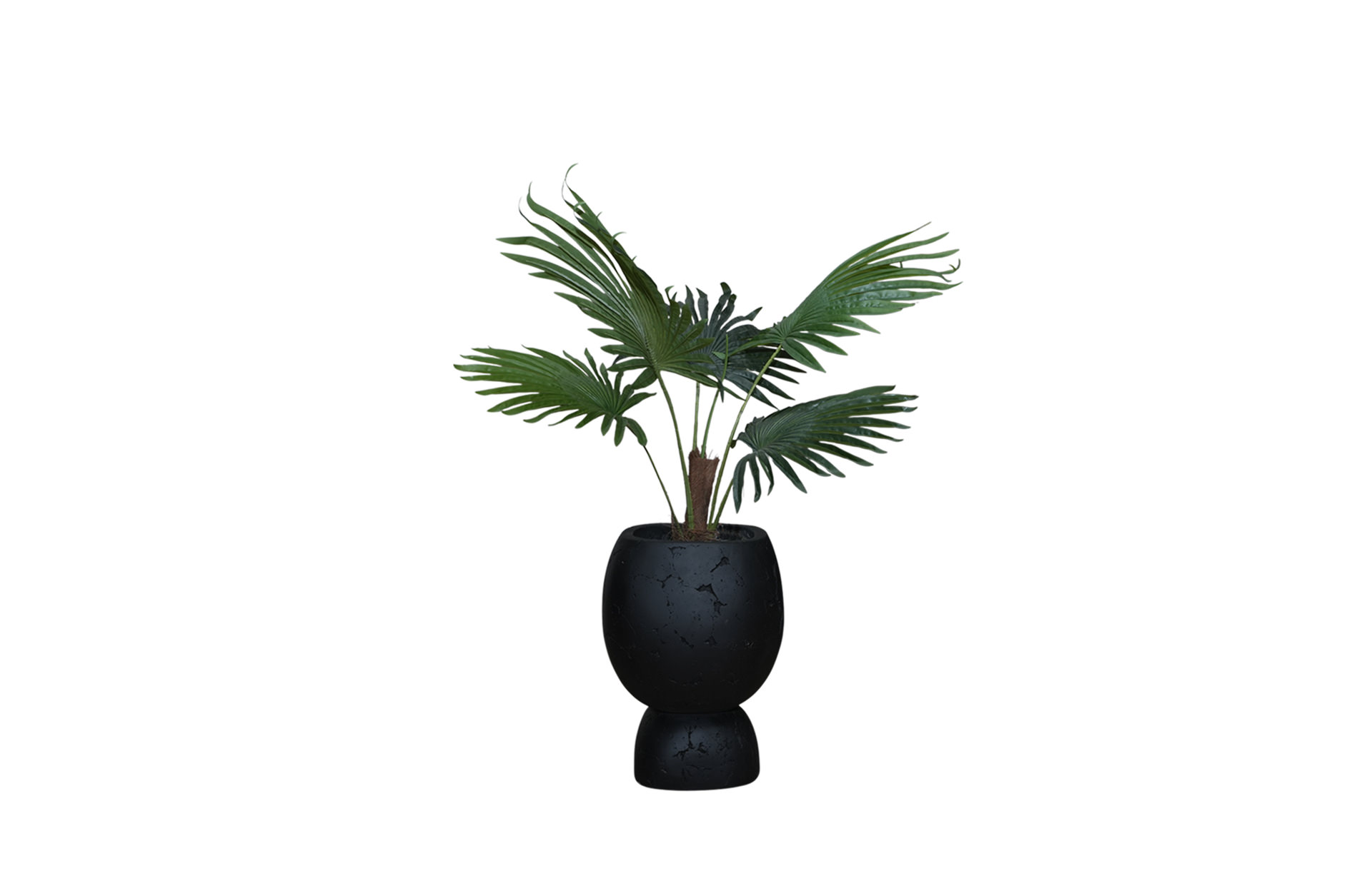 Home Decor SA11853-AB Fan Palm Tree In Pot,5 Leaves ( Doff 6 ) Front View