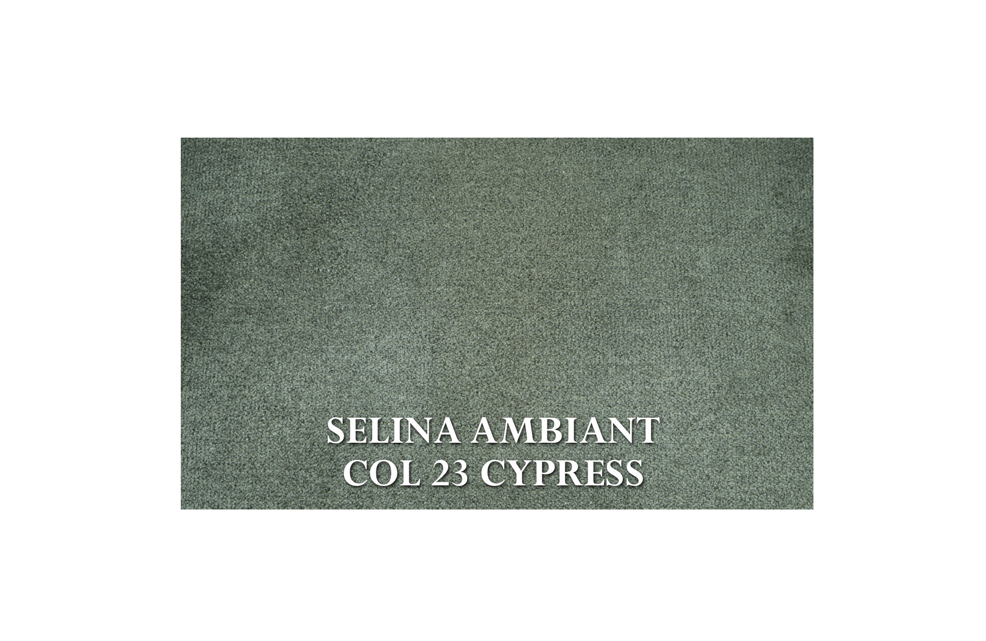 Home Decor Dining Chair Carnation Chair SA 23 Cypress Fabric View SELINA AMBIANT COL 23 CYPRESS